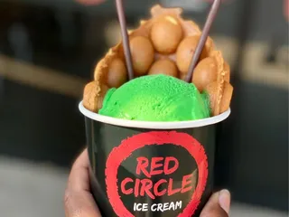 Red Circle Ice Cream - Pearland