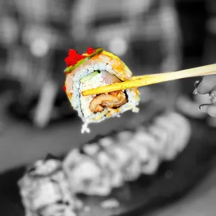 Daruma Roll