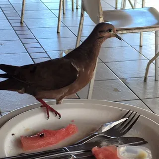 E T.