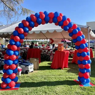 20ft balloon arch