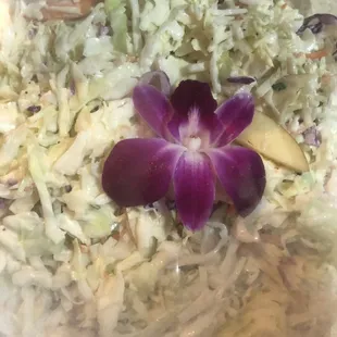 This is the coleslaw. I didn&apos;t get a chance to get a picture of the rest because everyone dove in too quickly lol