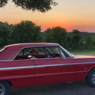 Impala sunset