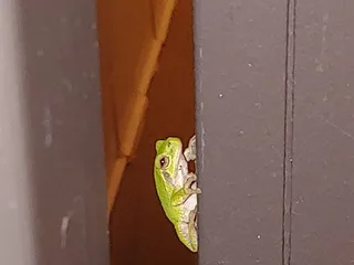 Bunker Hills Event Center