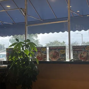 Monday - shrimp tacos 1.75 Tuesday - hard shell tacos plate 8.50 Wednesday- fish tacos 1.75