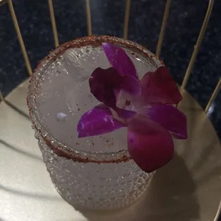 Paloma