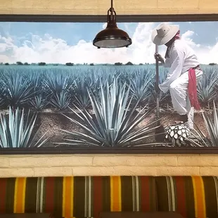 El Agave Azul Jimador Art Print