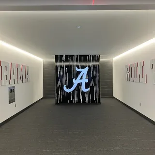 Insane B.