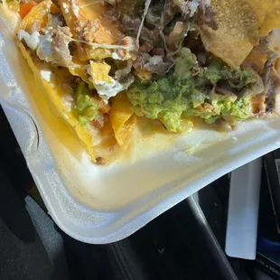 A nasty ass 14 dollar nacho.....