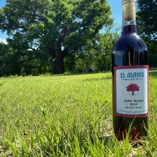 a bottle of wine in the grass