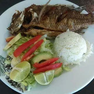 Tilapia