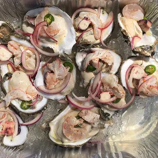 a platter of fresh oysters