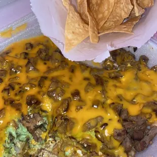 Carne Asada Fries