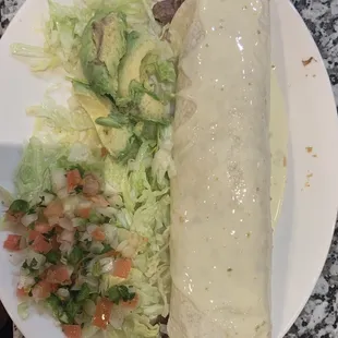 Burrito. Look at the size!