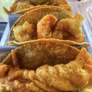 One bite &amp; you&apos;re hooked!  -El Baja Fish