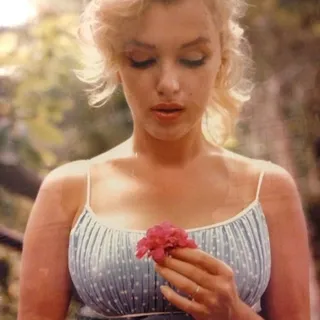 Cynn J.