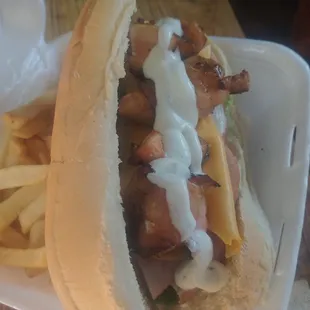 a hot dog and fries in a styrofoam container