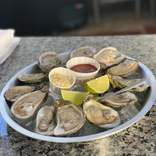 Fresh Oysters