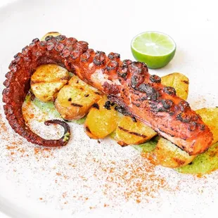 Grilled Pulpo Octopus