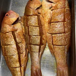 Pescado Red Snapper ( chillo )