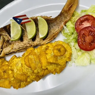 Pescado Chillo