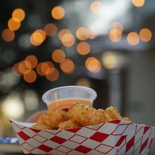 Tater Tots w/Brewjo sauce