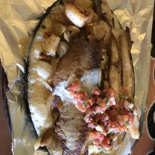Tilapia