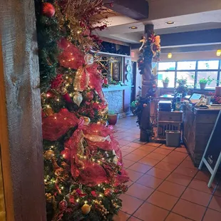 The building is wonderfully homey.  The Christmas decor was stunning.  Well done!