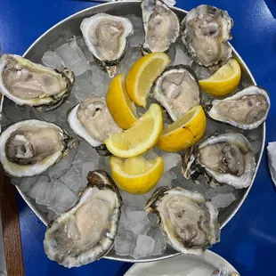 Oysters on the half shell
