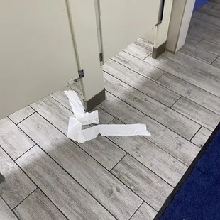 Nasty ladies bathroom