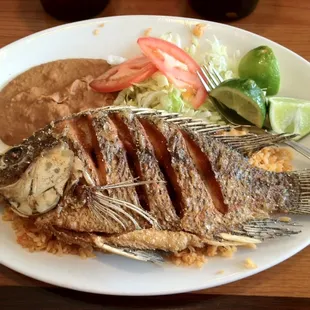 Mojarra 05/2012