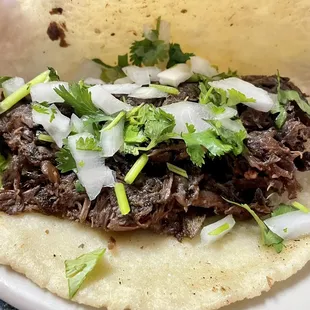 Moist, flavorful barbacoa on a homemade corn tortilla