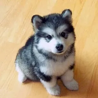 T B.