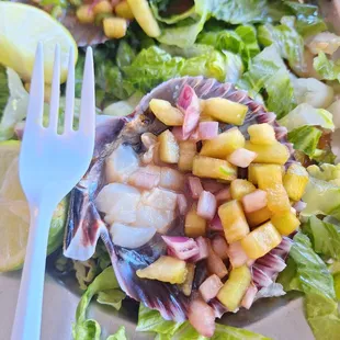 I ordered almejas voladoras to try, and i had to order a dozen because the waitress said i couldn't order half a dozen with hardly any meat.