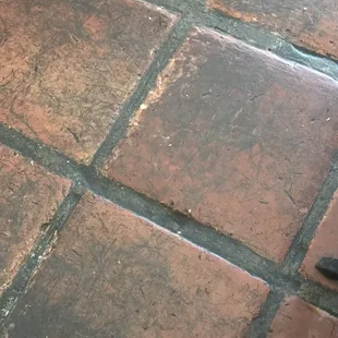 the disgusting floor.