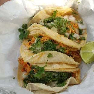 Pollo tacos with cilantro, onions and green sauce.