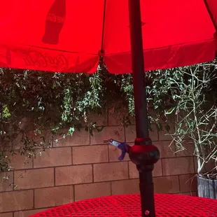 Finally trying out this place!