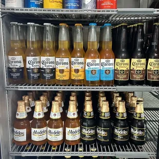 BOTTLE BEER