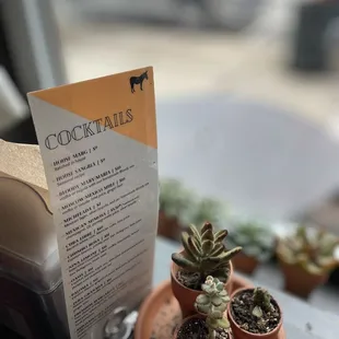 Cocktail menu