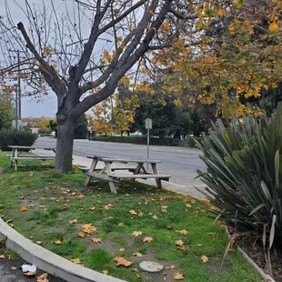 Seating at the gas station, near the food truck