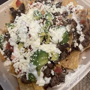 Carne Asada Regular Burrito