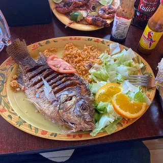 Mojarra