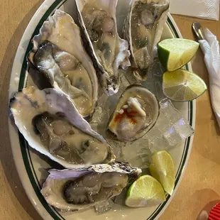Half dozen of oysters.