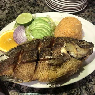 Vallarta fish