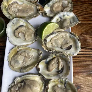 Raw oysters