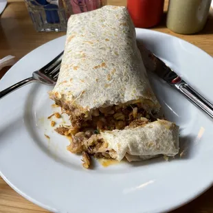 Birria burrito