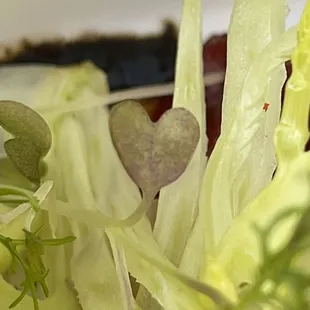 Greens with a heart in our Pork Tenderloin- Awe