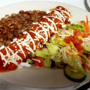 Vegetable Enchilada.