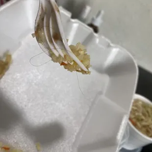 Strand of hair in my rice.