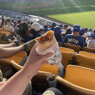 Carne Asada Burrito