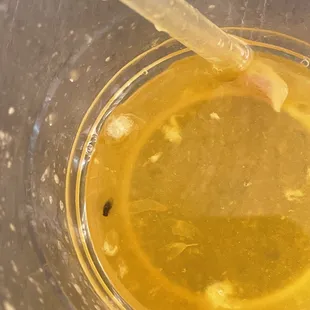 bug in my OJ after drinking the whole this this is what i find.